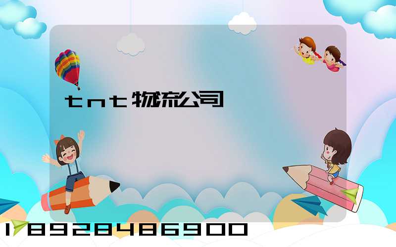 tnt物流公司運輸現狀