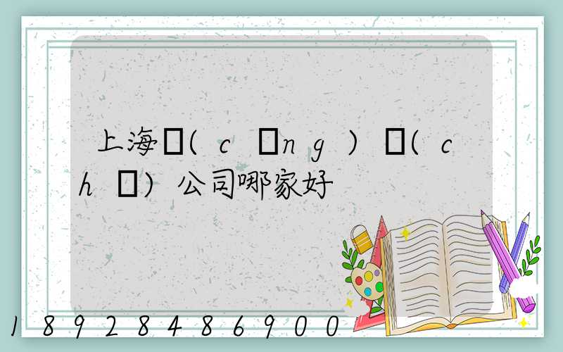 上海倉(cāng)儲(chǔ)公司哪家好