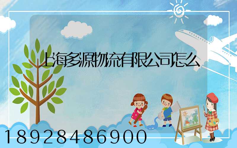 上海多源物流有限公司怎么樣
