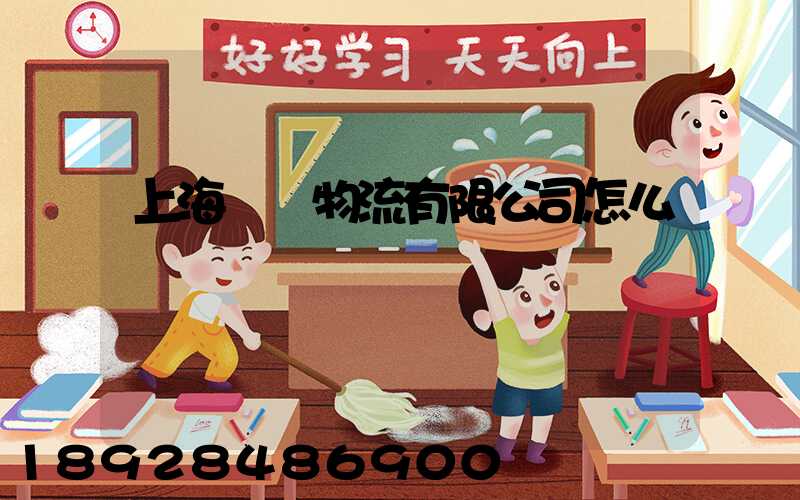 上海寬寬物流有限公司怎么樣