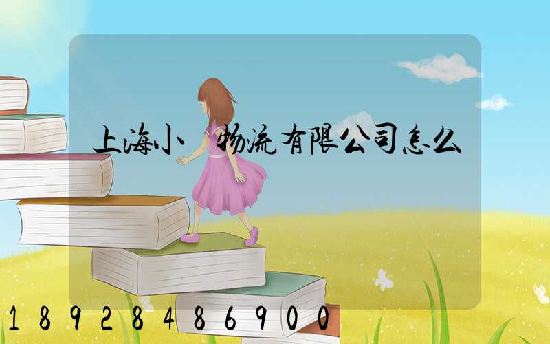 上海小榮物流有限公司怎么樣