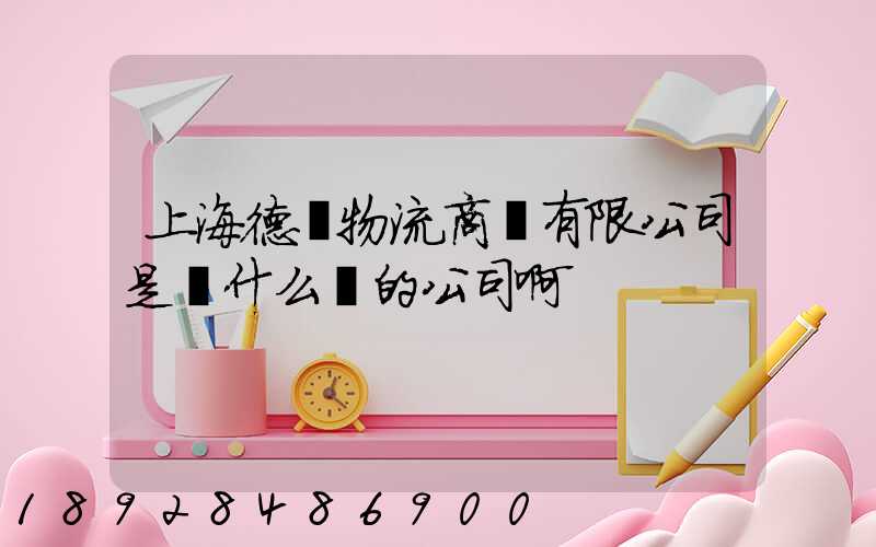上海德諾物流商貿有限公司是個什么樣的公司啊