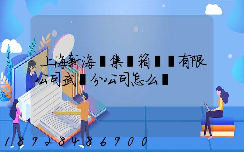 上海新海豐集裝箱運輸有限公司武漢分公司怎么樣