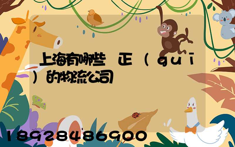 上海有哪些較正規(guī)的物流公司