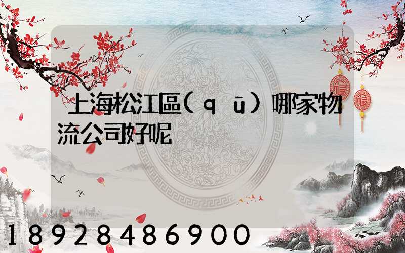 上海松江區(qū)哪家物流公司好呢
