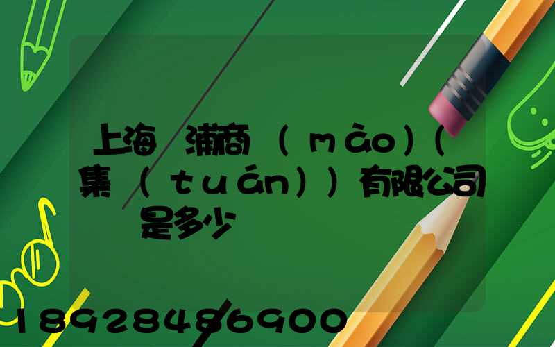 上海楊浦商貿(mào)(集團(tuán))有限公司電話是多少
