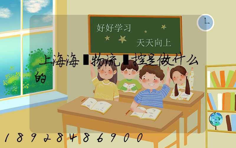 上海海關物流監控是做什么的