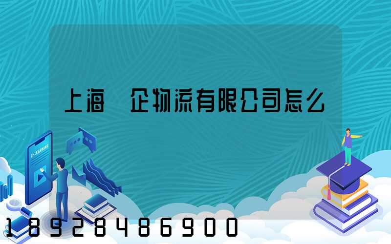 上海澤企物流有限公司怎么樣