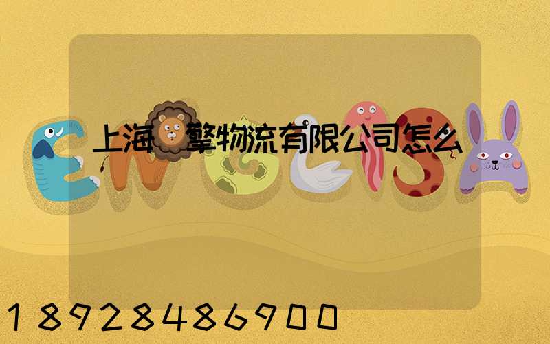 上海燦擎物流有限公司怎么樣