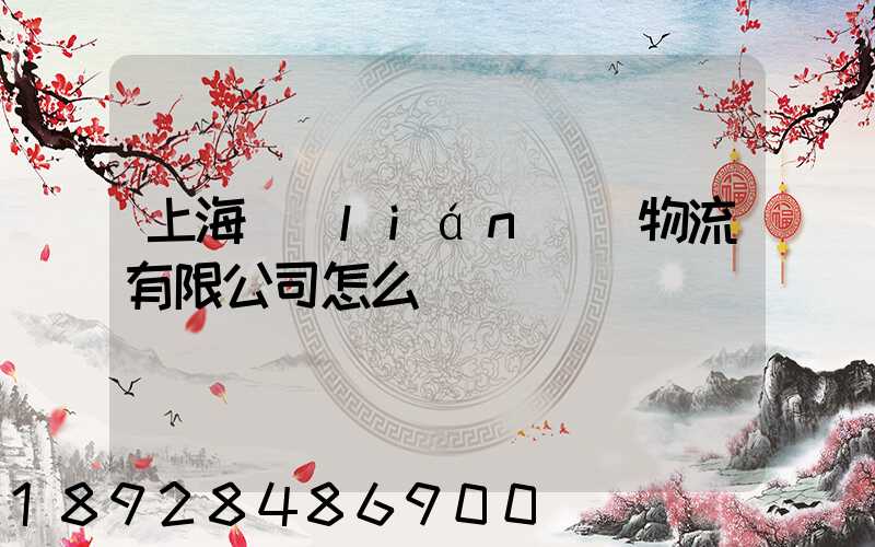 上海聯(lián)碩物流有限公司怎么樣