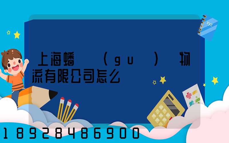 上海蟠龍國(guó)際物流有限公司怎么樣