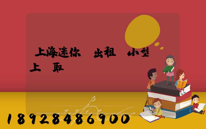 上海迷你倉出租,小型倉庫上門取貨