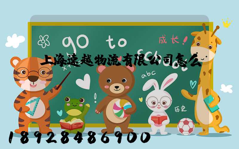 上海速越物流有限公司怎么樣