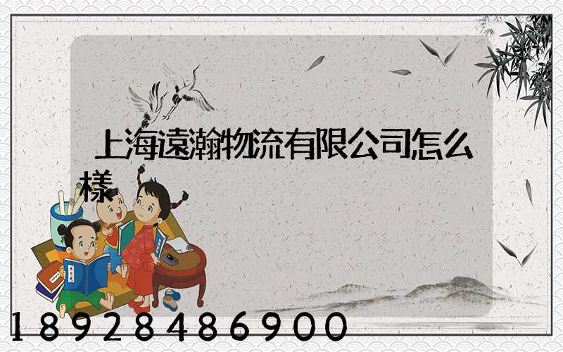 上海遠瀚物流有限公司怎么樣