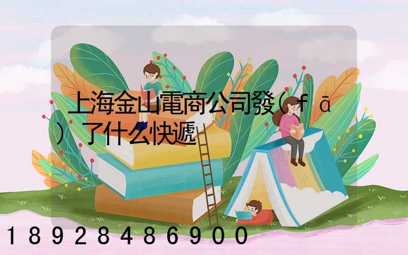 上海金山電商公司發(fā)了什么快遞