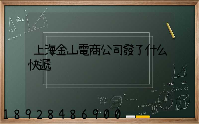 上海金山電商公司發了什么快遞