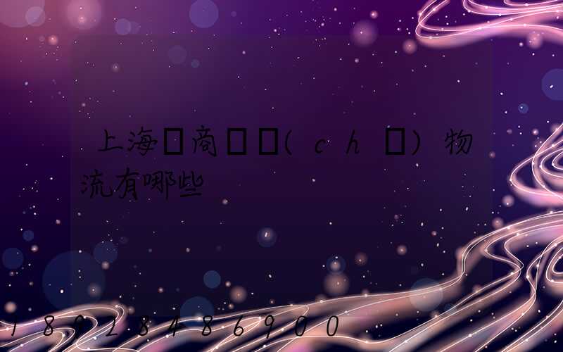 上海電商倉儲(chǔ)物流有哪些