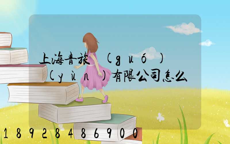 上海青旅國(guó)際貨運(yùn)有限公司怎么樣