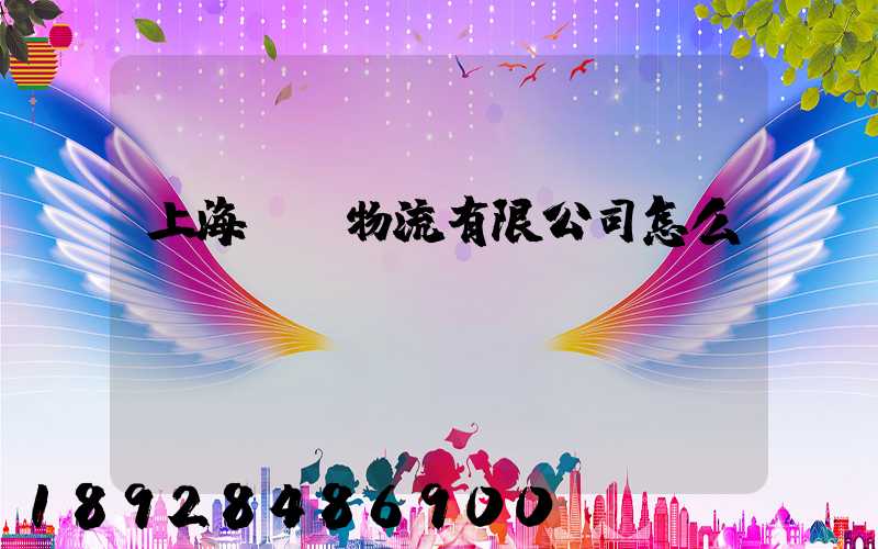 上海順匯物流有限公司怎么樣