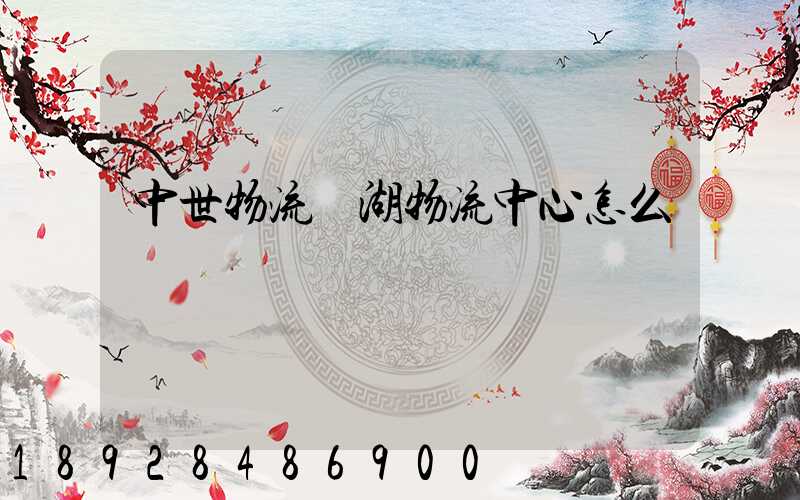 中世物流蕪湖物流中心怎么樣