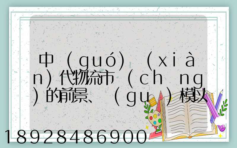 中國(guó)現(xiàn)代物流市場(chǎng)的前景、規(guī)模以及成就。