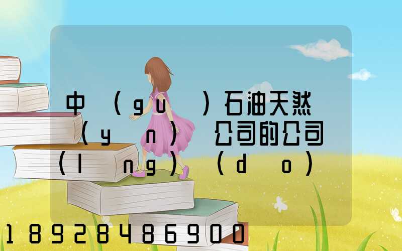 中國(guó)石油天然氣運(yùn)輸公司的公司領(lǐng)導(dǎo)