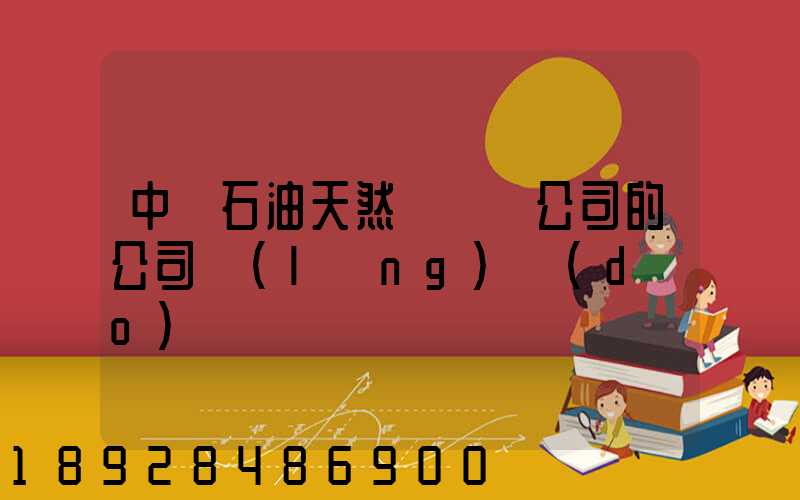 中國石油天然氣運輸公司的公司領(lǐng)導(dǎo)
