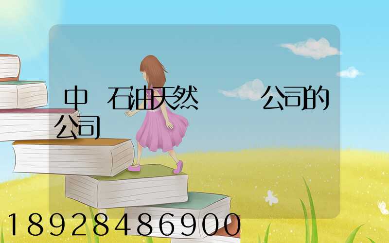 中國石油天然氣運輸公司的公司領導