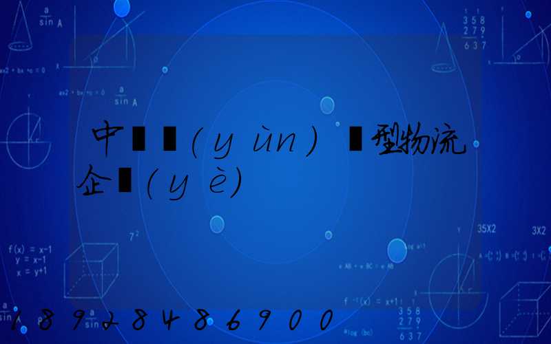 中國運(yùn)輸型物流企業(yè)