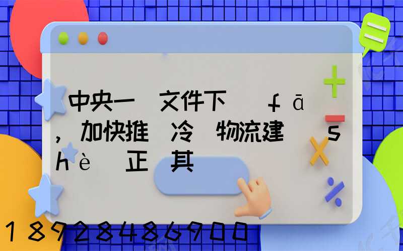 中央一號文件下發(fā),加快推進冷鏈物流建設(shè)正當其時