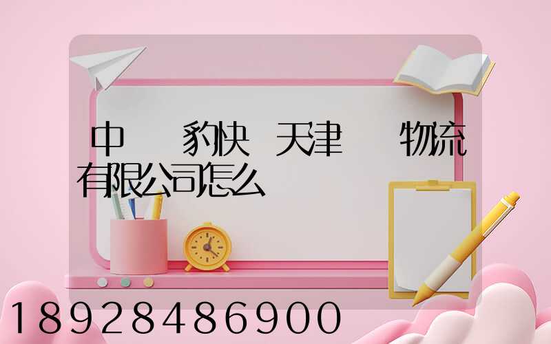 中鐵飛豹快線天津國際物流有限公司怎么樣