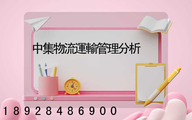 中集物流運輸管理分析
