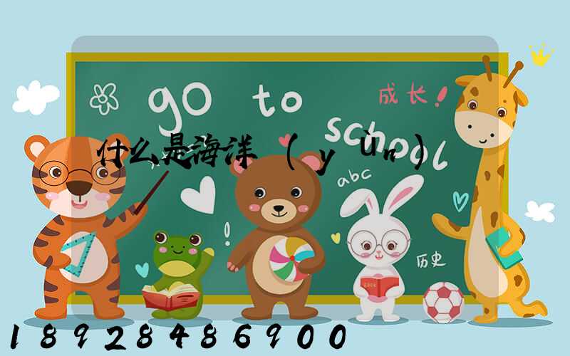 什么是海洋運(yùn)輸