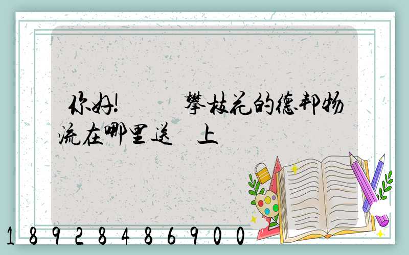 你好!請問攀枝花的德邦物流在哪里送貨上門嗎