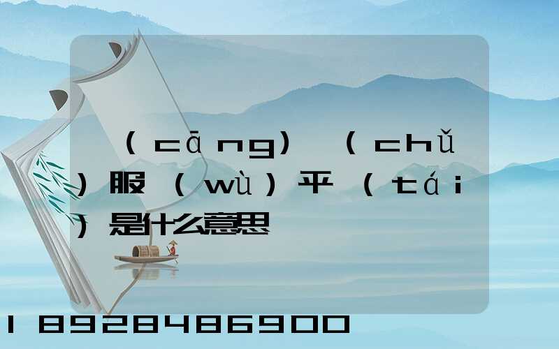 倉(cāng)儲(chǔ)服務(wù)平臺(tái)是什么意思