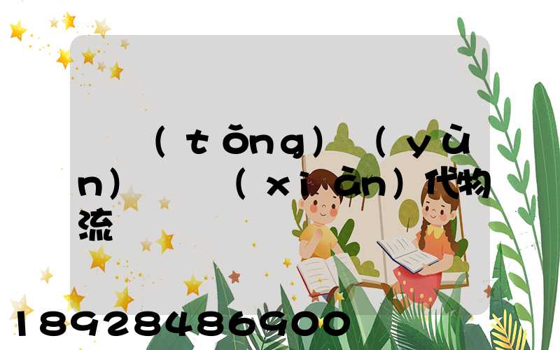 傳統(tǒng)運(yùn)輸與現(xiàn)代物流