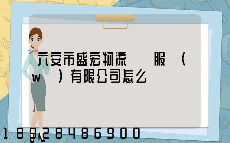 六安市盛宏物流運輸服務(wù)有限公司怎么樣