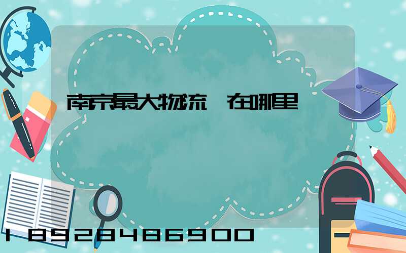 南京最大物流園在哪里