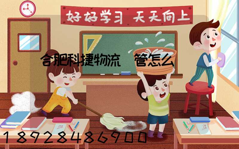 合肥科捷物流倉管怎么樣