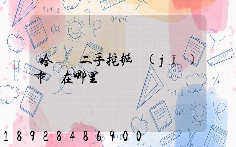 哈爾濱二手挖掘機(jī)市場在哪里