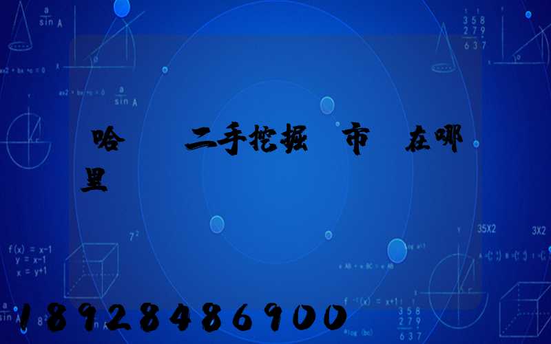 哈爾濱二手挖掘機市場在哪里