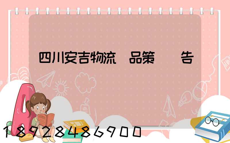 四川安吉物流產品策劃報告