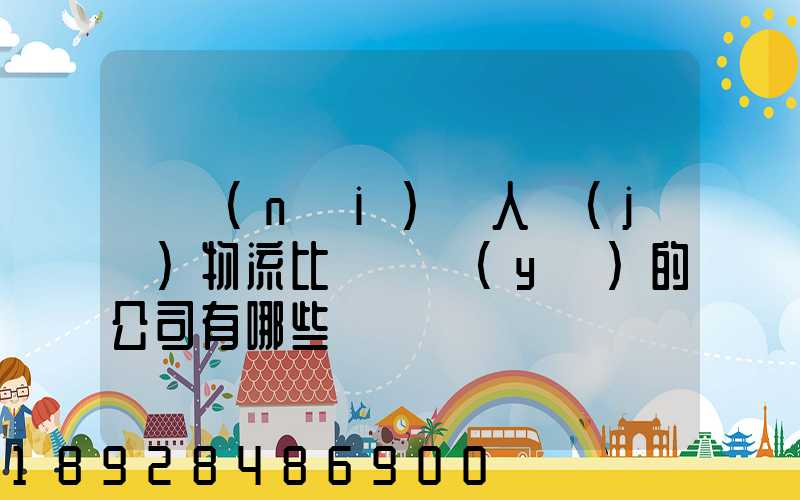 國內(nèi)無人機(jī)物流比較專業(yè)的公司有哪些