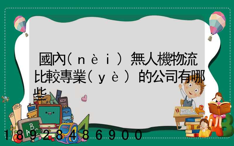 國內(nèi)無人機物流比較專業(yè)的公司有哪些