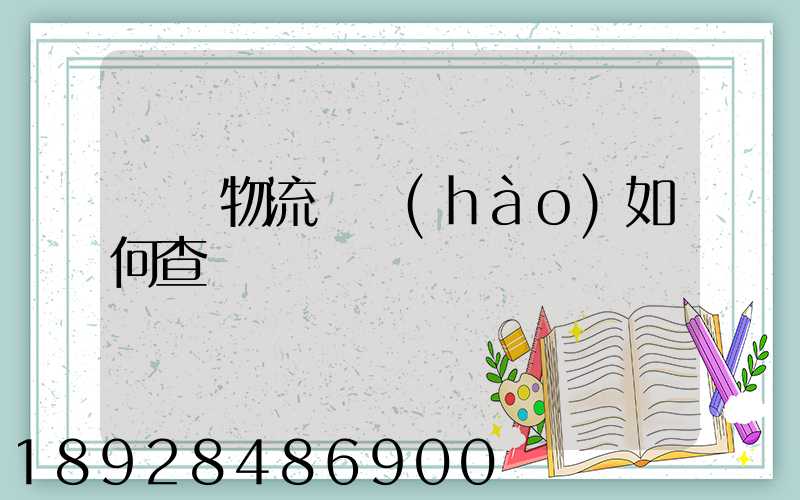 國際物流單號(hào)如何查詢