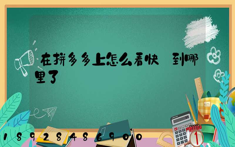 在拼多多上怎么看快遞到哪里了