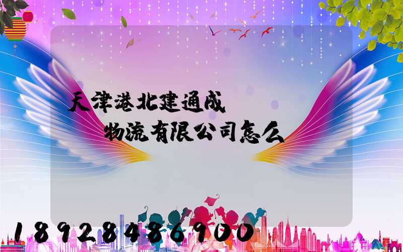 天津港北建通成國(guó)際物流有限公司怎么樣