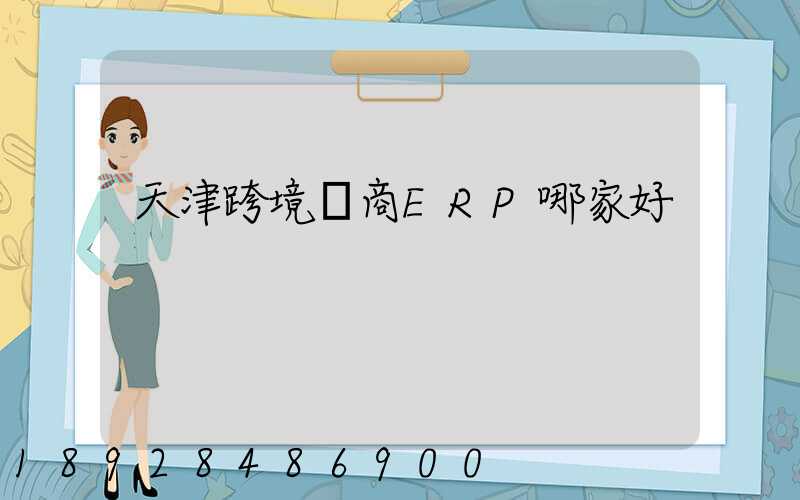 天津跨境電商ERP哪家好