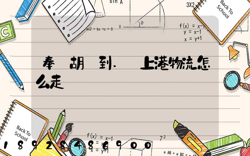 奉賢胡橋到.·上港物流怎么走