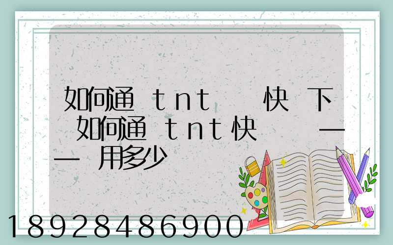 如何通過tnt國際快遞下單如何通過tnt快遞發貨——費用多少
